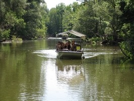 Plavby po zámecké Dyji