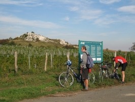 Naučná vinařská stezka Mikulov