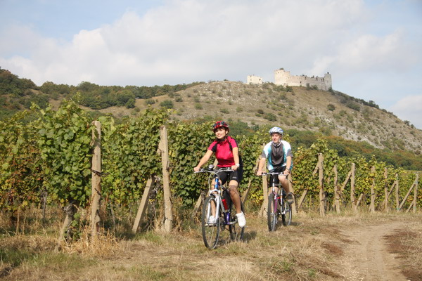 Za mikulovskými víny na kole