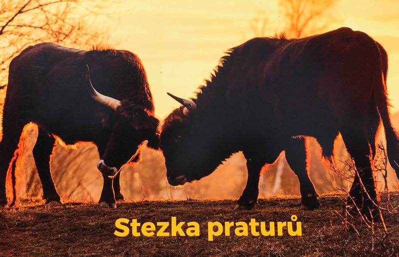 Stezka praturů