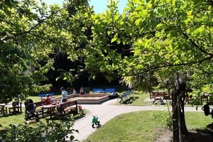 foto Kavárna Slunečnice