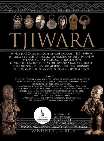 Muzeum mizející africké kultury