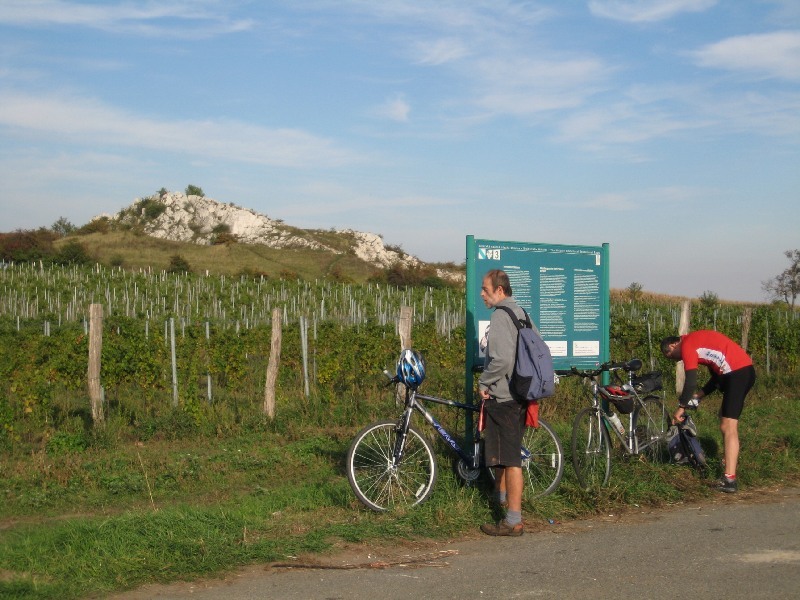 Naučná vinařská stezka Mikulov