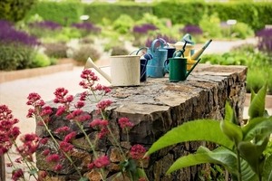 Bylinková zahrada Lu & Tiree Chmelar