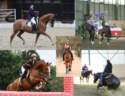 Zlínská oblast České jezdecká federace