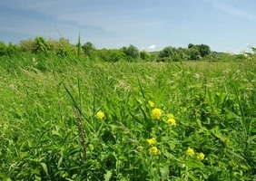 Novosedly – Slanisko Novosedly