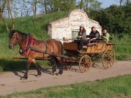 Vyjížďky bryčkou do okolí