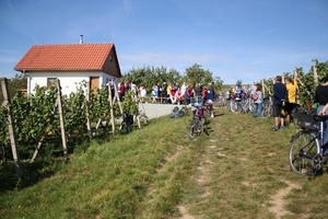 Vinařství rodiny Šupkovy